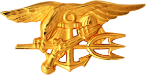 Navy Seal Pin